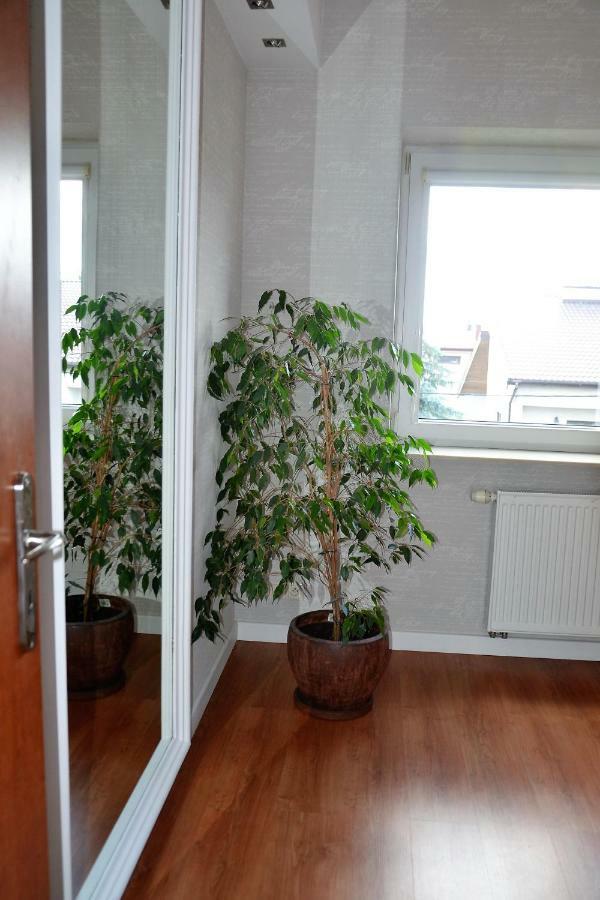 Tarnow Dom / Apartament W Centrum מראה חיצוני תמונה